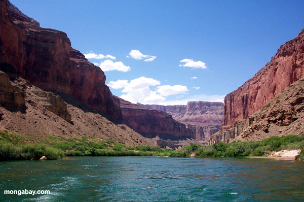 река Колорадо