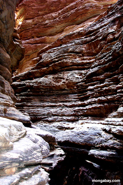 blacktail Creek Canyon