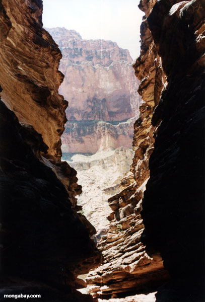 blacktail Creek Canyon