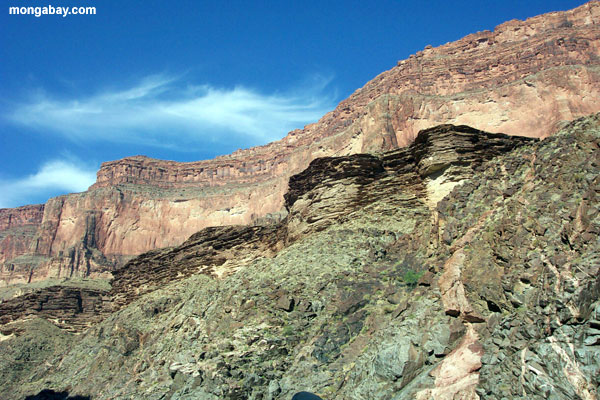 Gorge de crique de Blacktail