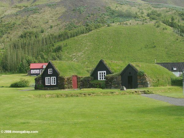 Rasenhäuser bei Skogar in Island