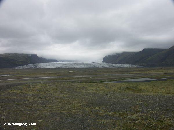 Skaftafell Zunge des Vatnajokull Gletschers