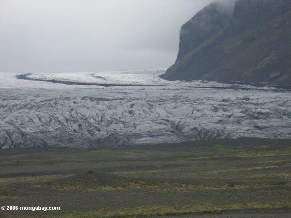 Zunge des Vatnajokull Gletschers bei Skaftafell
