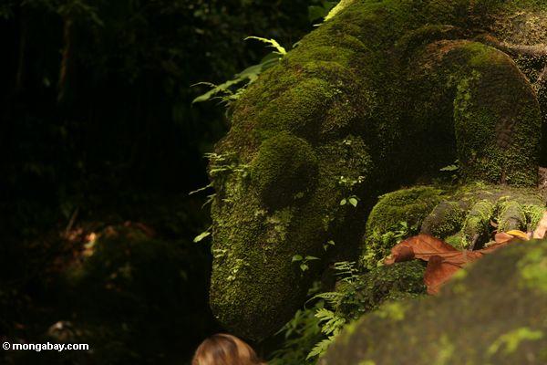Moosige Monitoreidechsestatue im Affe-Wald