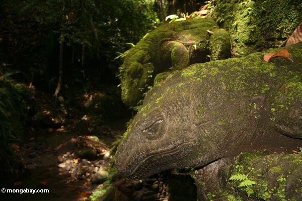 Moos-bedeckte Monitoreidechsestatuen im Affe-Wald