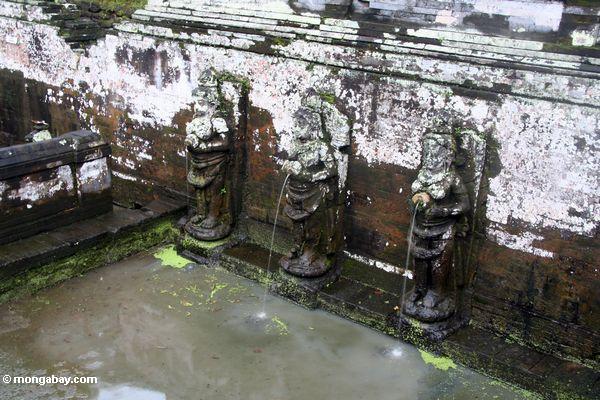Die Wassermaide der Hofbrunnen bei Goa Gajah