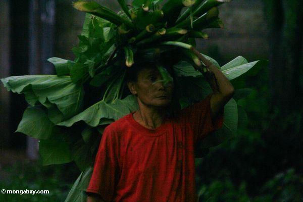 Ältere Balinese Frau, die einen Stapel Blätter auf ihrem HauptUbud