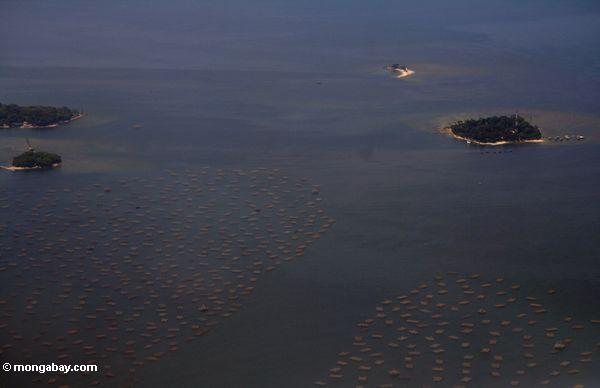 Fischenplattformen weg von der Küste von Java