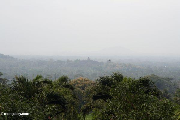 Entfernte Ansicht des Borobudur Bügels