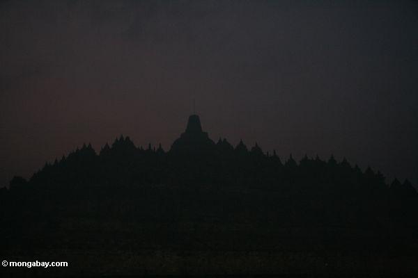 Schattenbild von Boboudur am frühen Morgen