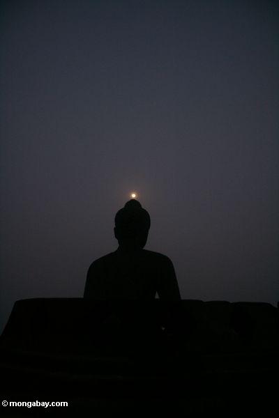 Silhouettiertes Boboudur Buddha im frühen Morgen