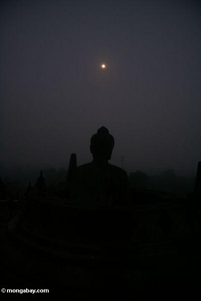 Silhouettiertes Dhyani Buddha von Boboudur am Tagesanbruch