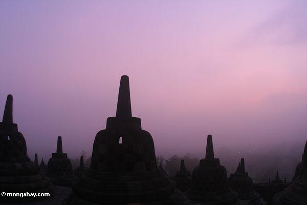 Stupas am Sonnenaufgang