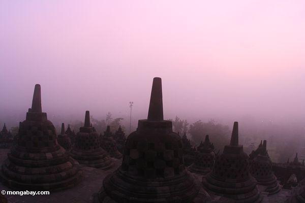 Stupas am Tagesanbruch
