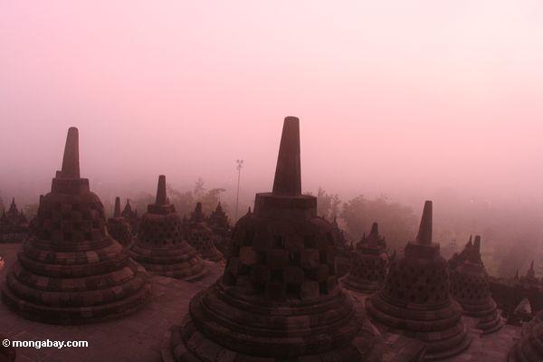 Stupas am nebeligen Tagesanbruch bei Borobudur