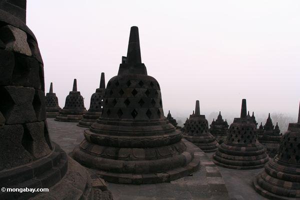Stupas bei Borobudur