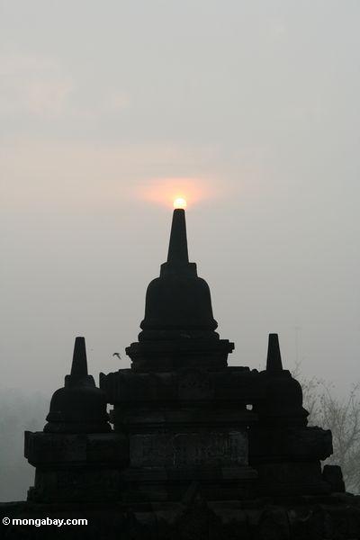 Sonnenaufgang bei Borobudur