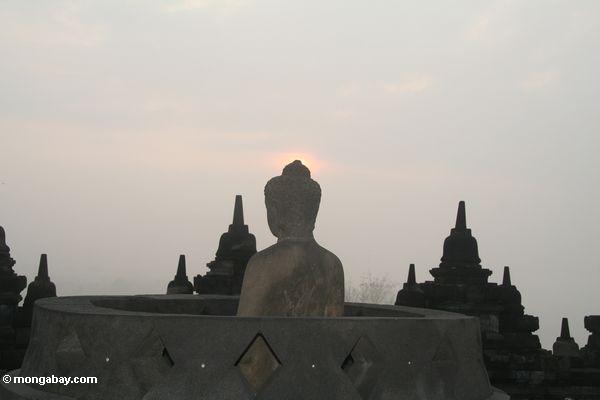Profil von Dhyani Buddha am Sonnenaufgang