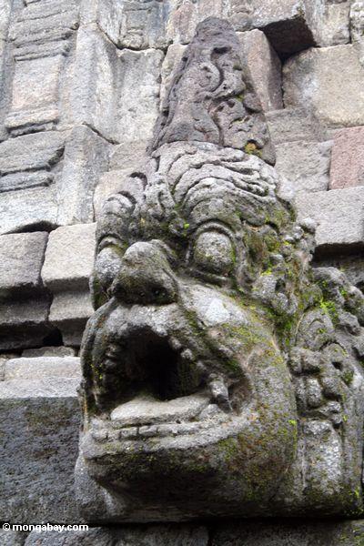 Verärgertes Gesicht bei Borobudur