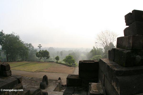 Morgen am Borobudur Bügel
