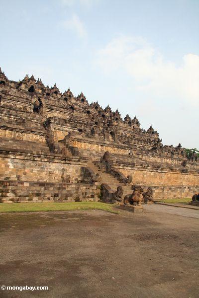 Borobudur Bügel