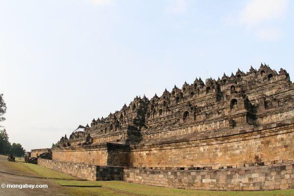 Borobudur Bügel
