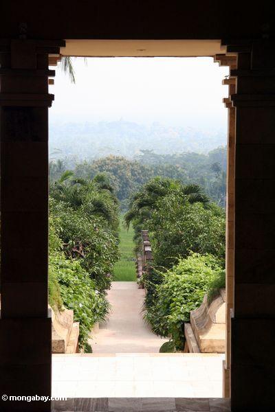 Ansicht von Borobudur vom Amanjiwo Erholungsort