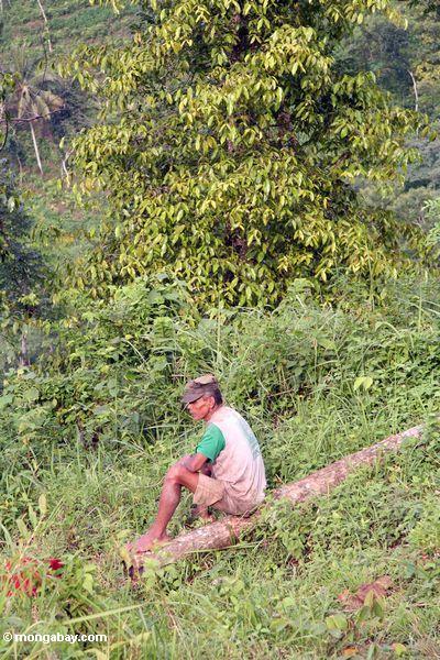Lokaler Mann, der nach einem Tag im Wald Java