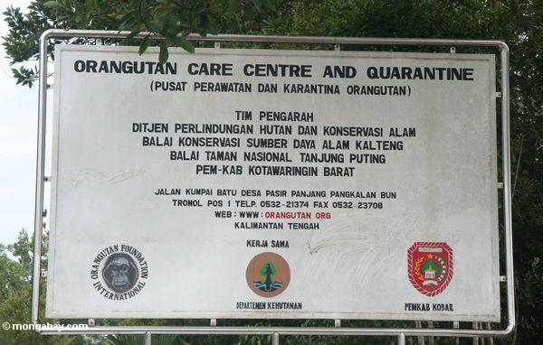 Zeichen für die Orangutan Obacht-Mitte und Quarantäne in Pangkalan