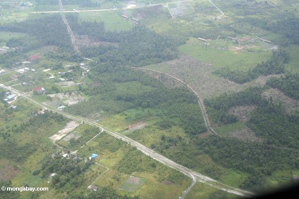 熱帯雨林の土地の開発areial表示
