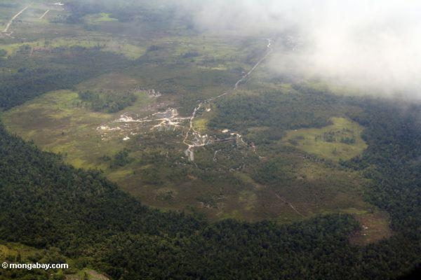 Waldreinigung für Hilfsmittelextraktion in der Borneo-Luftansicht