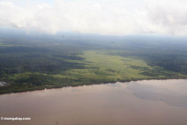 Luftaufnahme des gelöschten Küstenlandes in Kalimantan