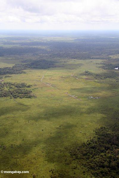 Flugzeugansicht der entwaldeten Bereiche in Borneo