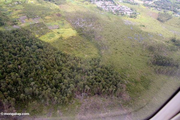 Ansicht vom Flugzeug der Waldreinigung um Pangkalanbun