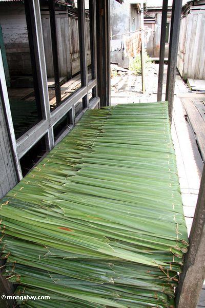Nipa Palme frons schnitten für Dach materielles
