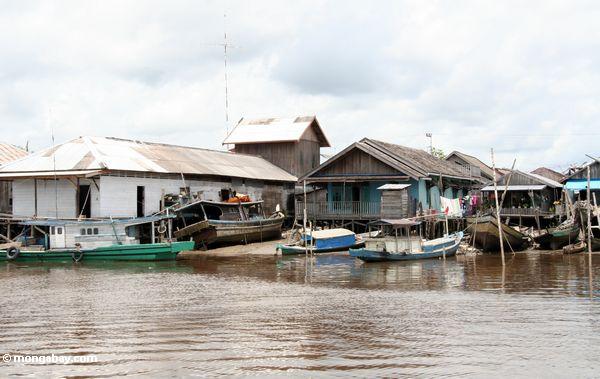 Boote und Häuser von Kumai, Kalimantan