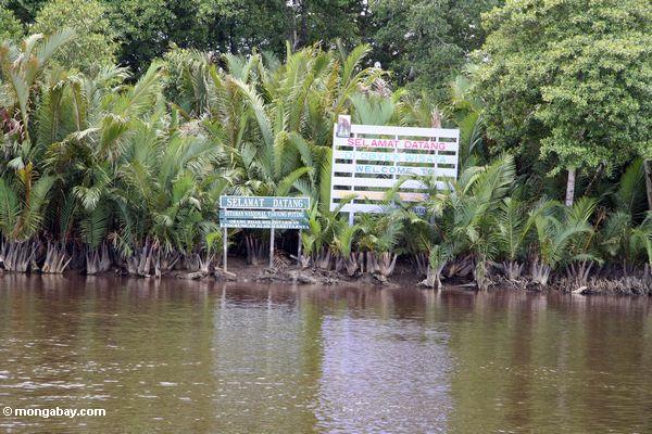 Willkommen Tanjung Puting zum Nationalparkzeichen