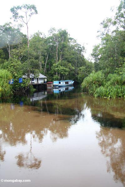 Weiß und Schwarzwasser, die mischen, wo undichter Nebenfluß des Lagers den Seicoyna (Sekonyer) Fluß Kalimantan