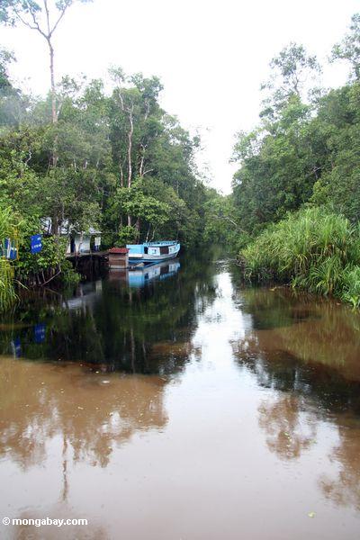 Whitewater und blackwater, die mischen, wo man Nebenfluß undichte Treffen der Sekonyer Fluß Kalimantan