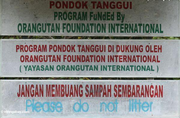 Für Pondok Tanggui, ein Erhaltung Programm unterzeichnen, das von Orangutan Foundation internationales Kalimantan