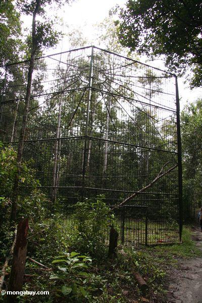 Ein Rahmen bei Pondok Tanggui, das durch die indonesische Regierung für Orangutan Erhaltung aber gespendet wurde, nie verwendetes Kalimantan