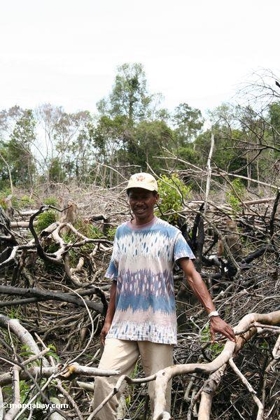 Naturführer Thomas, der unter verkohlten Resten des tropischen Waldes in Borneo Kalimantan