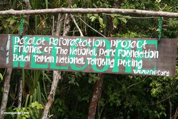 Zeichen für das Pasalat Aufforstung-Projekt Tanjung Puting im Nationalpark