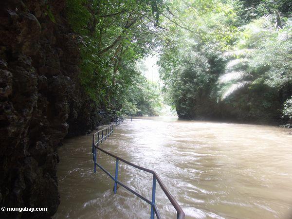 Überschwemmte Spur bei Bantimurung