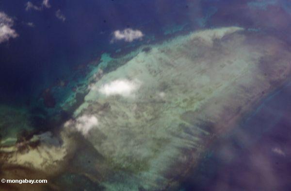 рифы Сулавеси