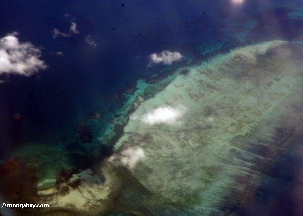 Korallenriffe weg von Sulawesi