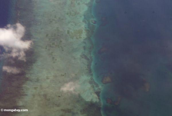 Korallenriffe weg von der Insel von Sulawesi