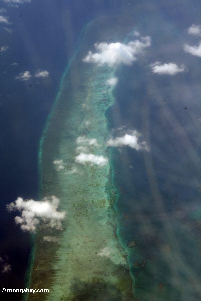 Korallenriffe von Sulawesi