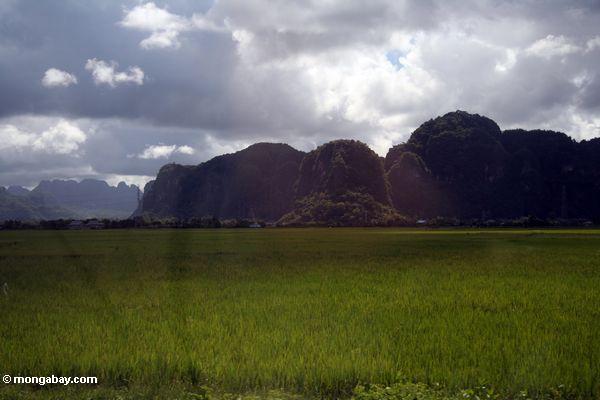 Sulawesi Kalksteinberge