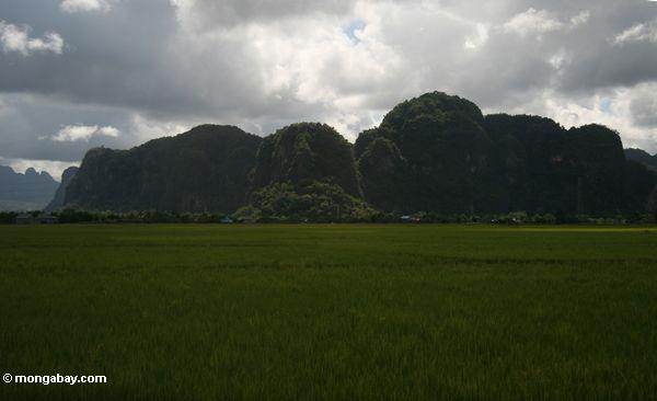 Sulawesi Kalksteinberge außerhalb Ujung Pandang